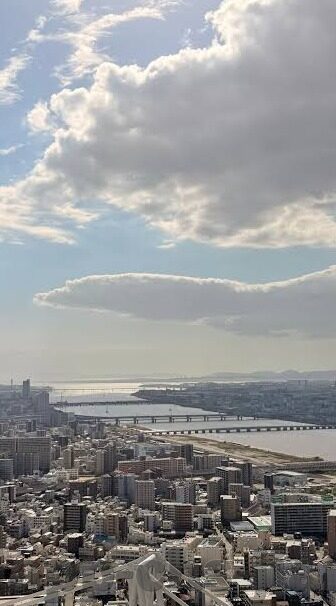 世界杯预选赛故意输-世界杯预选赛中的故意输球，战术考量与心理博弈